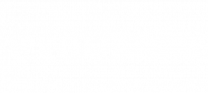 intersport logo blanc