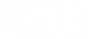 Logo néosoft blanc