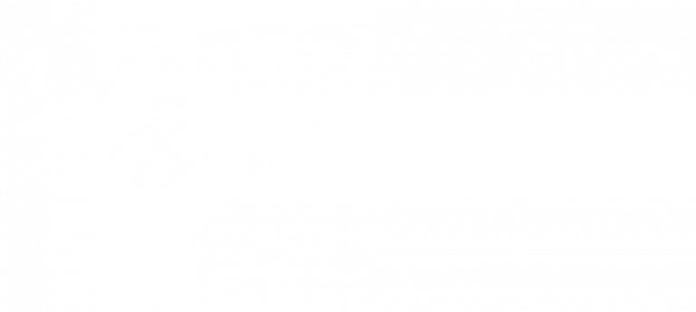 logo silae blanc ogi