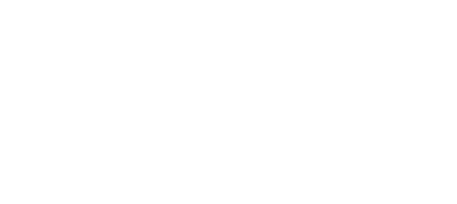 logo silae blanc ogi