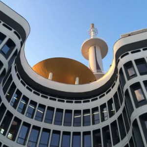 Lire la suite à propos de l’article Revivez notre rencontre annuelle du 16 juin !