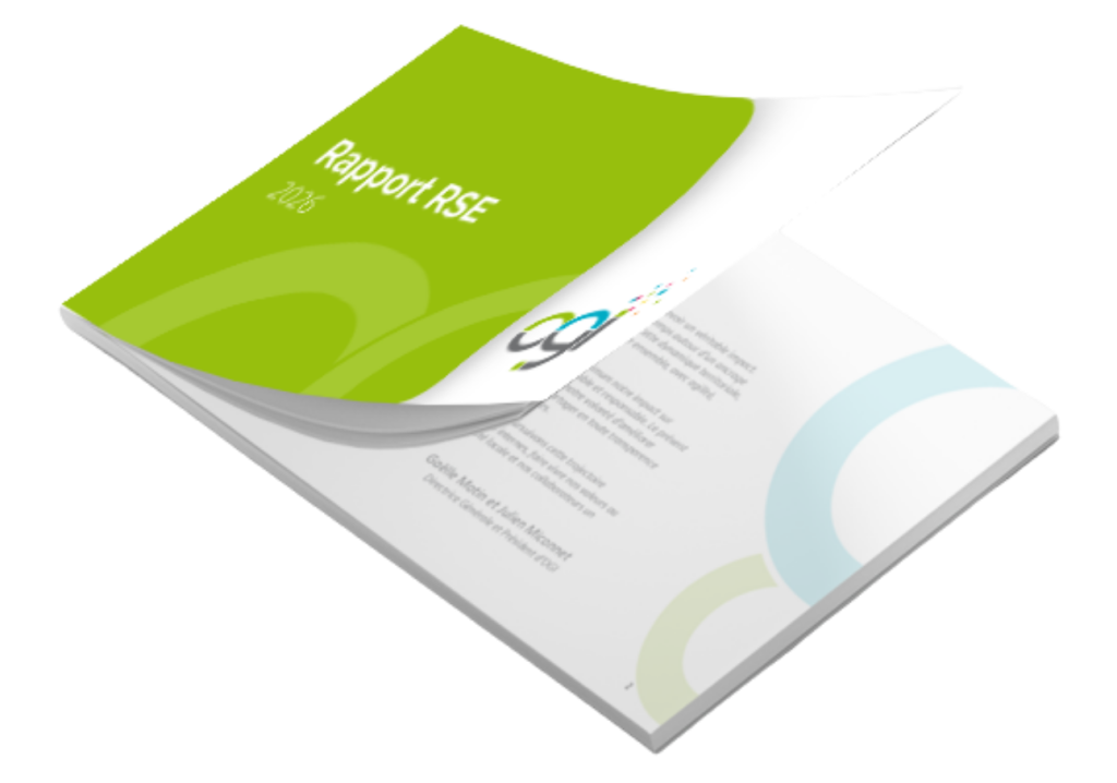 RAPPORT RSE site OGI